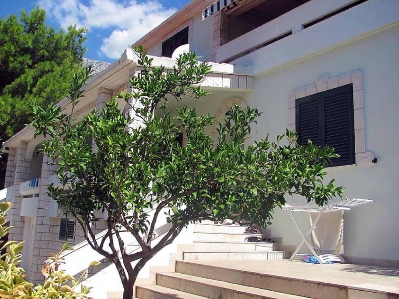 Apartments Anki Živogošće Zewnętrze zdjęcie
